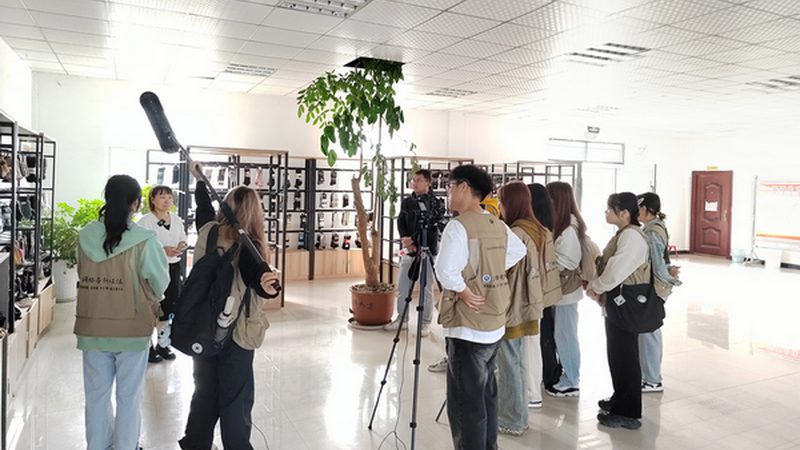 纪录片拍摄项目招标标准：关键要素与评估要点**