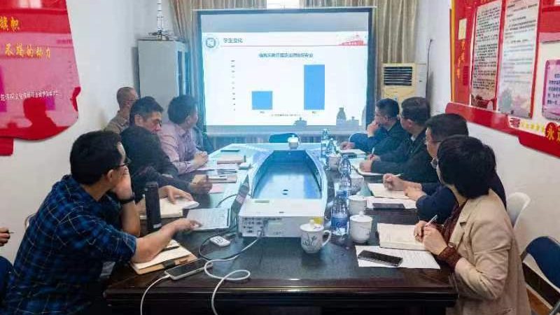 VI设计素材分类解析：全面了解设计元素**