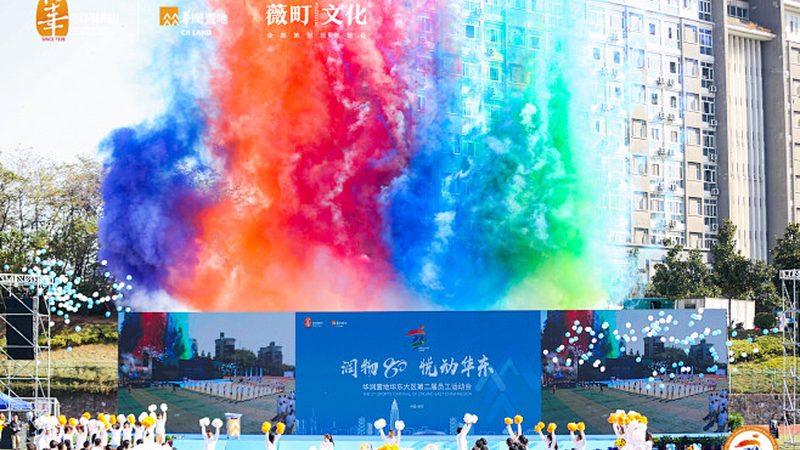 广州品牌设计公司案例解析：如何挑选优质合作伙伴